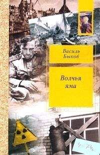 Читайте книги онлайн на Bookidrom.ru! Бесплатные книги в одном клике Василий Быков - Пойти и не вернуться