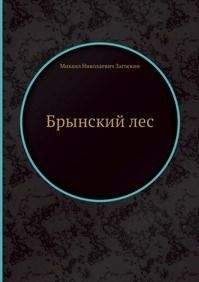 Читайте книги онлайн на Bookidrom.ru! Бесплатные книги в одном клике Михаил Загоскин - Брынский лес