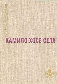 Читайте книги онлайн на Bookidrom.ru! Бесплатные книги в одном клике Камило Села - Семья Паскуаля Дуарте