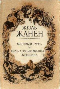 Читайте книги онлайн на Bookidrom.ru! Бесплатные книги в одном клике Жюль Жанен - Мертвый осел и гильотинированная женщина