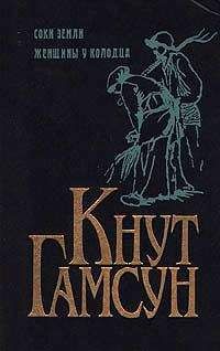 Читайте книги онлайн на Bookidrom.ru! Бесплатные книги в одном клике Кнут Гамсун - Соки земли