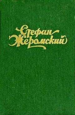 Читайте книги онлайн на Bookidrom.ru! Бесплатные книги в одном клике Стефан Жеромский - Пепел