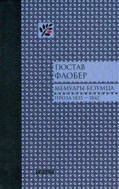 Читайте книги онлайн на Bookidrom.ru! Бесплатные книги в одном клике Гюстав Флобер - Мемуары безумца