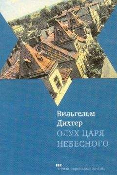 Читайте книги онлайн на Bookidrom.ru! Бесплатные книги в одном клике Вильгельм Дихтер - Олух Царя Небесного