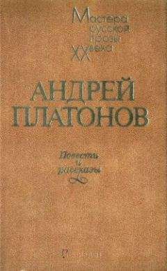 Читайте книги онлайн на Bookidrom.ru! Бесплатные книги в одном клике Андрей Платонов - Жена машиниста