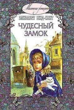 Читайте книги онлайн на Bookidrom.ru! Бесплатные книги в одном клике Элизабет Мид-Смит - Чудесный замок