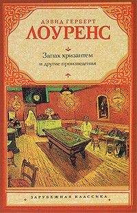 Читайте книги онлайн на Bookidrom.ru! Бесплатные книги в одном клике Дэвид Герберт Лоуренс - Тень в розовом саду