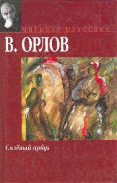 Читайте книги онлайн на Bookidrom.ru! Бесплатные книги в одном клике Владимир Орлов - Солёный арбуз