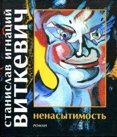 Читайте книги онлайн на Bookidrom.ru! Бесплатные книги в одном клике Станислав Виткевич - Ненасытимость