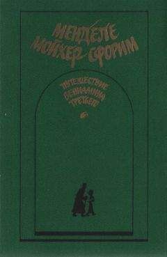 Читайте книги онлайн на Bookidrom.ru! Бесплатные книги в одном клике Менделе Мойхер-Сфорим - Путешествие Вениамина Третьего