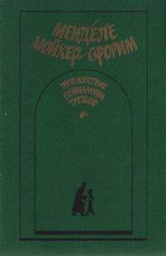 Читайте книги онлайн на Bookidrom.ru! Бесплатные книги в одном клике Менделе Мойхер-Сфорим - Путешествие Вениамина Третьего