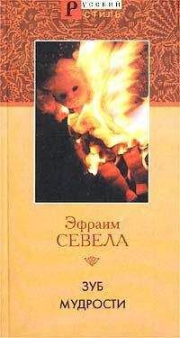 Читайте книги онлайн на Bookidrom.ru! Бесплатные книги в одном клике Эфраим Севела - Зуб мудрости