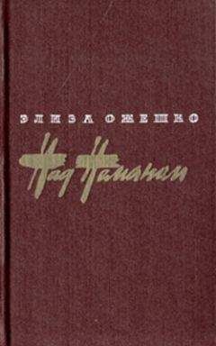Читайте книги онлайн на Bookidrom.ru! Бесплатные книги в одном клике Элиза Ожешко - Над Неманом