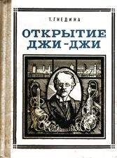 Читайте книги онлайн на Bookidrom.ru! Бесплатные книги в одном клике Татьяна Гнедина - Открытие Джи - Джи