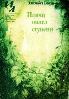 Читайте книги онлайн на Bookidrom.ru! Бесплатные книги в одном клике Элизабет Боуэн - Слезы, пустые слезы