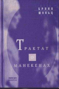 Читайте книги онлайн на Bookidrom.ru! Бесплатные книги в одном клике Бруно Шульц - Трактат о манекенах