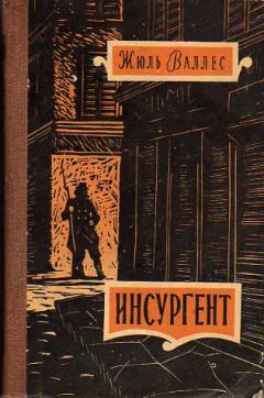 Читайте книги онлайн на Bookidrom.ru! Бесплатные книги в одном клике Жюль Валлес - Инсургент