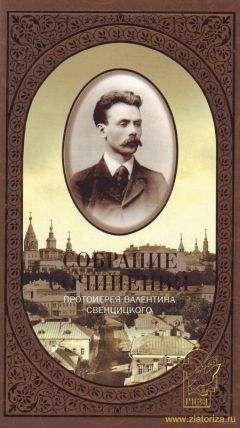 Читайте книги онлайн на Bookidrom.ru! Бесплатные книги в одном клике Валенитин Свенцицкий - Антихрист
