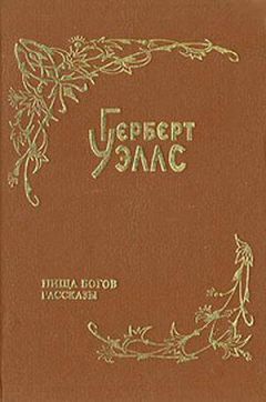 Читайте книги онлайн на Bookidrom.ru! Бесплатные книги в одном клике Герберт Уэллс - Покинутая невеста