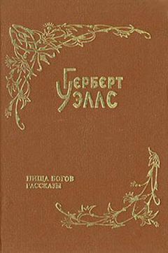 Читайте книги онлайн на Bookidrom.ru! Бесплатные книги в одном клике Герберт Уэллс - Покинутая невеста