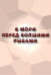 Читайте книги онлайн на Bookidrom.ru! Бесплатные книги в одном клике Аноним - В МОРИ ПЕРЕД БОЛШИМИ РЫБАМИ СКАЗАНИЕ О ЕРШЕ О ЕРШОВЕ СЫНЕ,