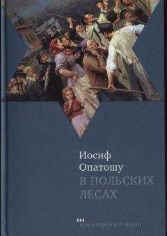 Читайте книги онлайн на Bookidrom.ru! Бесплатные книги в одном клике Иосиф Опатошу - В польских лесах