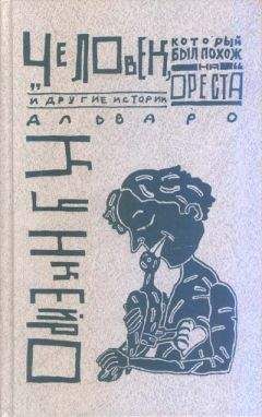 Читайте книги онлайн на Bookidrom.ru! Бесплатные книги в одном клике Альваро Кункейро - Год кометы и битва четырех царей