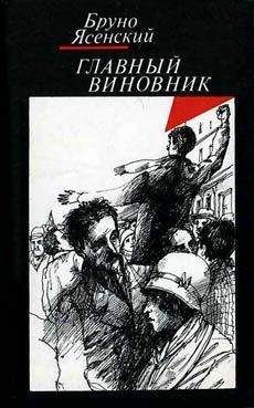 Читайте книги онлайн на Bookidrom.ru! Бесплатные книги в одном клике Бруно Ясенский - Главный виновник