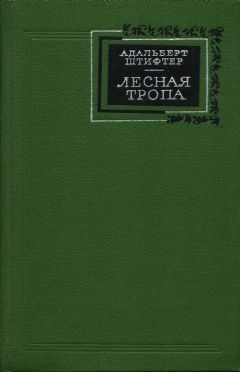 Читайте книги онлайн на Bookidrom.ru! Бесплатные книги в одном клике Адальберт Штифтер - Лесная тропа