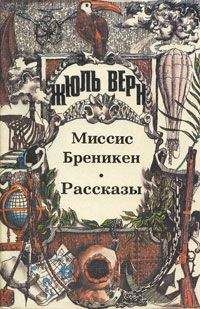 Читайте книги онлайн на Bookidrom.ru! Бесплатные книги в одном клике Жюль Верн - Хиль Бралтар