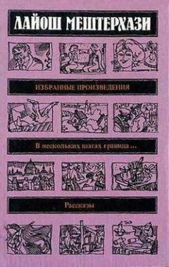 Читайте книги онлайн на Bookidrom.ru! Бесплатные книги в одном клике Лайош Мештерхази - Рана