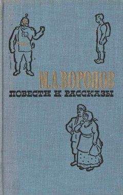 Читайте книги онлайн на Bookidrom.ru! Бесплатные книги в одном клике Михаил Воронов - Братья-разбойники