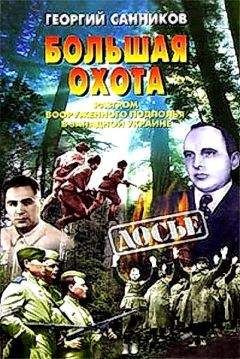 Читайте книги онлайн на Bookidrom.ru! Бесплатные книги в одном клике Георгий Санников - Большая Охота. Разгром УПА