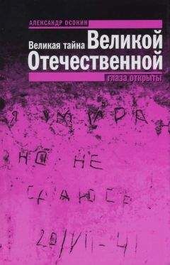 Читайте книги онлайн на Bookidrom.ru! Бесплатные книги в одном клике Александр Осокин - Великая тайна Великой Отечественной. Глаза открыты