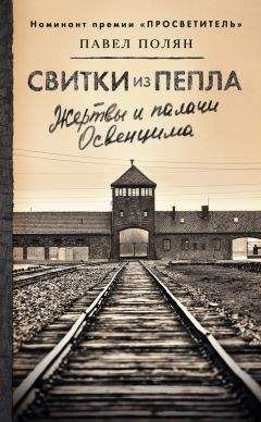 Читайте книги онлайн на Bookidrom.ru! Бесплатные книги в одном клике Павел Полян - Свитки из пепла