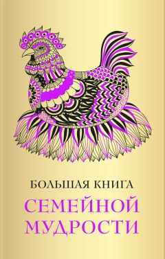 Читайте книги онлайн на Bookidrom.ru! Бесплатные книги в одном клике Коллектив авторов - Большая книга семейной мудрости