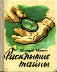 Читайте книги онлайн на Bookidrom.ru! Бесплатные книги в одном клике Николай Загородный - Раскрытие тайны
