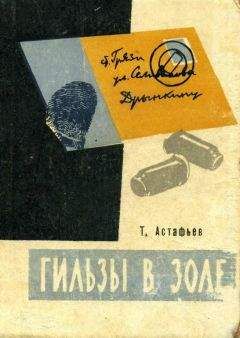 Тихон Астафьев - Гильзы в золе: Глазами следователя