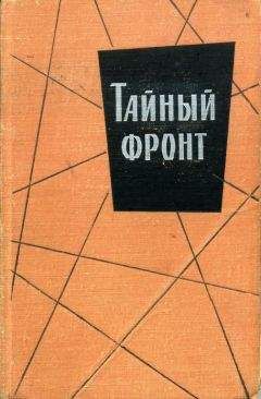 Читайте книги онлайн на Bookidrom.ru! Бесплатные книги в одном клике Джордж Mapтелли - Тайный фронт