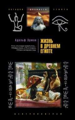 Читайте книги онлайн на Bookidrom.ru! Бесплатные книги в одном клике Адольф Эрман - Жизнь в Древнем Египте