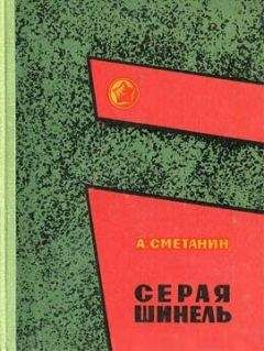 Читайте книги онлайн на Bookidrom.ru! Бесплатные книги в одном клике Александр Сметанин - Серая шинель