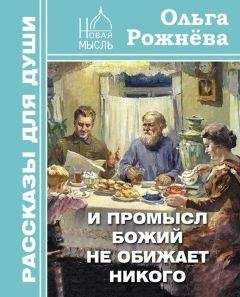 Читайте книги онлайн на Bookidrom.ru! Бесплатные книги в одном клике Ольга Рожнёва - И Промысл Божий не обижает никого