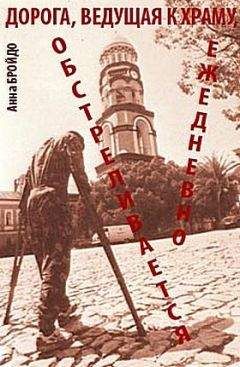 Читайте книги онлайн на Bookidrom.ru! Бесплатные книги в одном клике Анна Бройдо - Дорга, ведущая к храму, обстреливается ежедневно