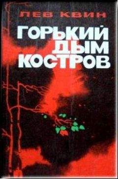 Читайте книги онлайн на Bookidrom.ru! Бесплатные книги в одном клике Лев Квин - Горький дым костров