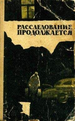 Читайте книги онлайн на Bookidrom.ru! Бесплатные книги в одном клике Григорий Брейгин - Расследование продолжается