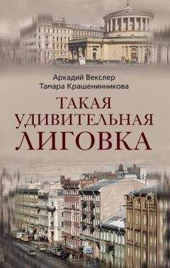 Читайте книги онлайн на Bookidrom.ru! Бесплатные книги в одном клике Аркадий Векслер - Такая удивительная Лиговка