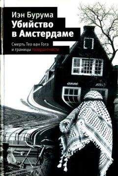 Читайте книги онлайн на Bookidrom.ru! Бесплатные книги в одном клике Иэн Бурума - Убийство в Амстердаме