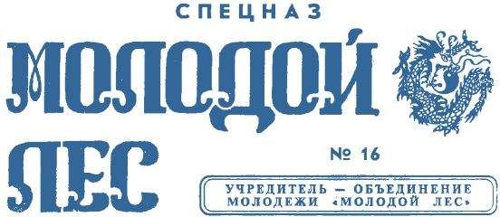 Читайте книги онлайн на Bookidrom.ru! Бесплатные книги в одном клике Газета 'Молодой лес' - Газета Молодой лес 16 Спецназ