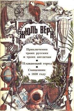 Читайте книги онлайн на Bookidrom.ru! Бесплатные книги в одном клике Анатолий Москвин - Провидец или популяризатор?