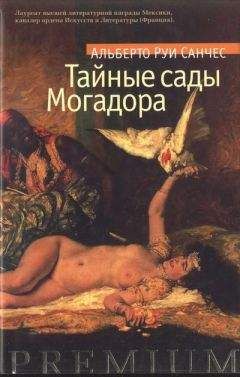 Читайте книги онлайн на Bookidrom.ru! Бесплатные книги в одном клике Альберто Руи Санчес - Тайные сады Могадора